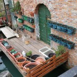 Urban Gardening auf Venezianisch